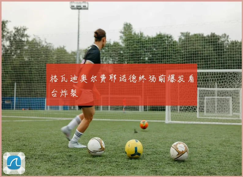 格瓦迪奥尔费耶诺德终场前爆发看台炸裂