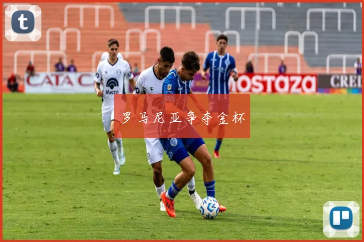罗马尼亚争夺金杯