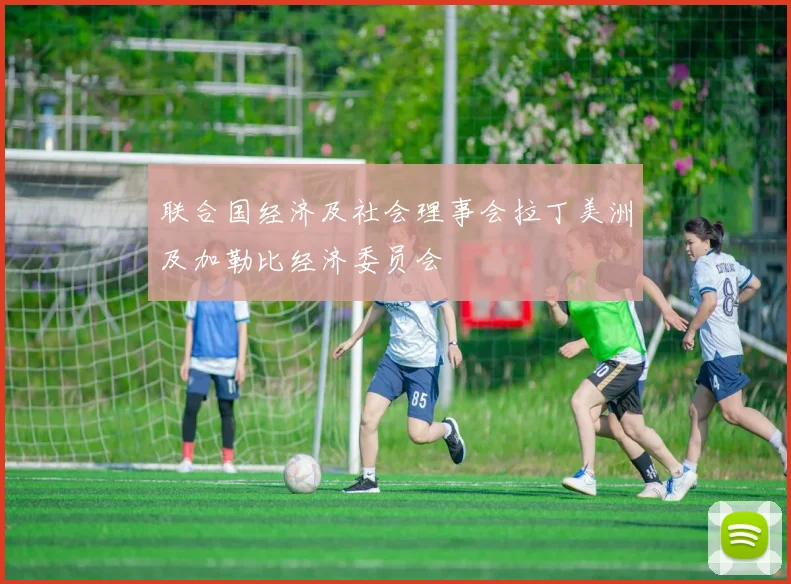 联合国经济及社会理事会拉丁美洲及加勒比经济委员会