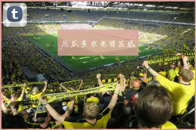 厄瓜多尔老将发威