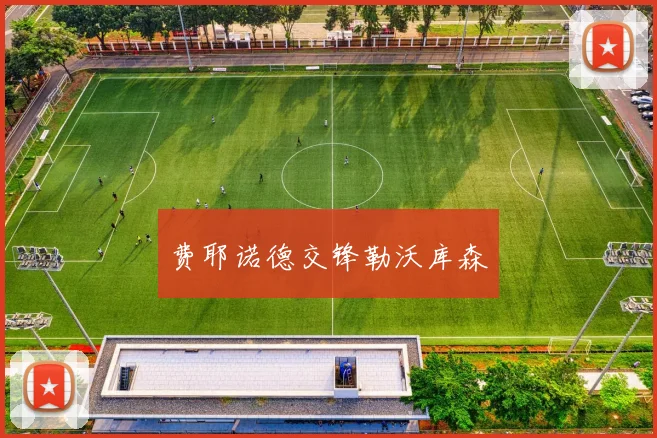 费耶诺德交锋勒沃库森