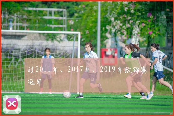 过2011年、2017年、2019年欧锦赛冠军