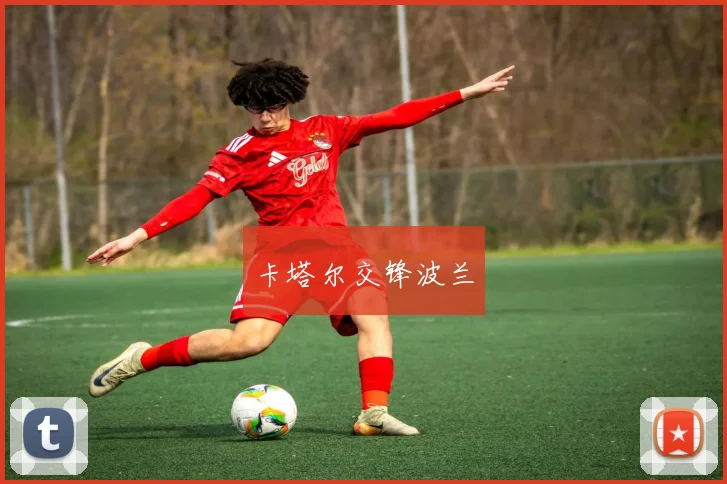 卡塔尔交锋波兰