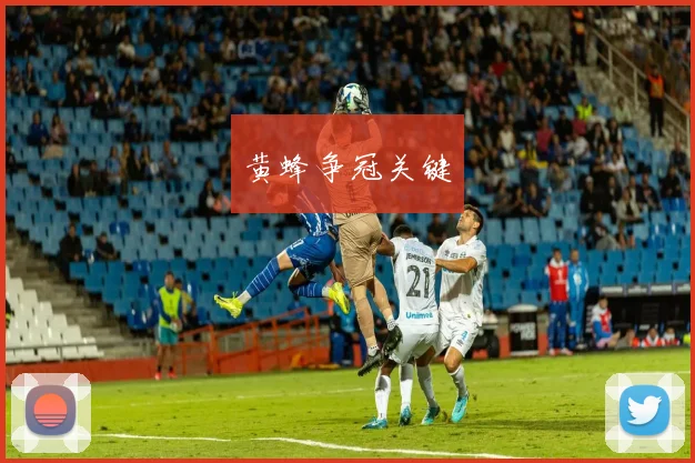 黄蜂争冠关键