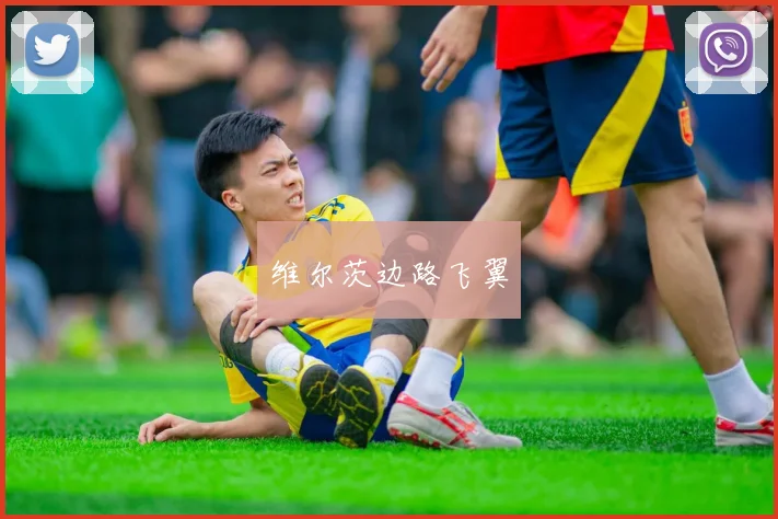 维尔茨边路飞翼