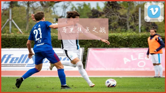 马里焦点之战