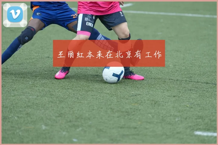 王丽红本来在北京有工作