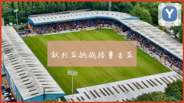 叙利亚挑战格鲁吉亚