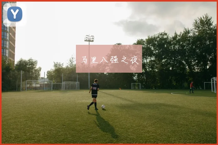 马里八强之夜