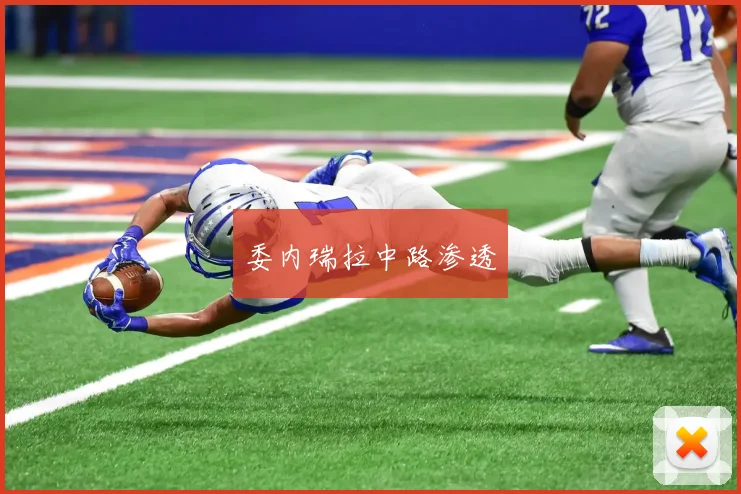委内瑞拉中路渗透