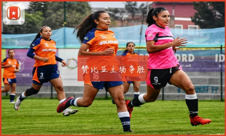 赞比亚主场争胜
