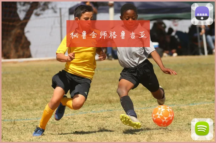 秘鲁会师格鲁吉亚