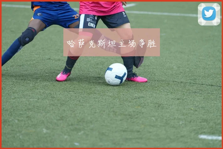 哈萨克斯坦主场争胜