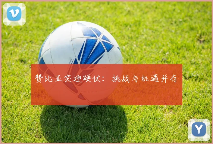 赞比亚突迎硬仗：挑战与机遇并存