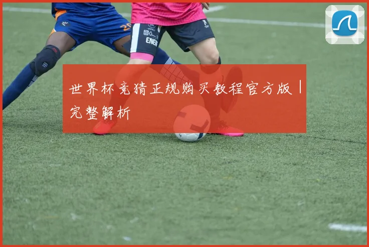 世界杯竞猜正规购买教程官方版｜完整解析