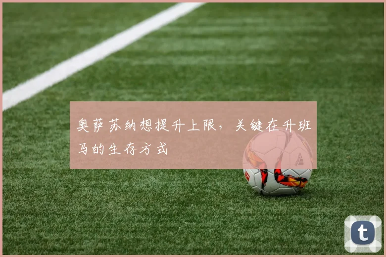 奥萨苏纳想提升上限，关键在升班马的生存方式