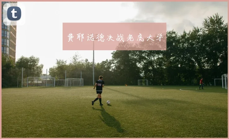 费耶诺德决战老虎大学
