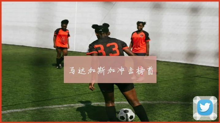 马达加斯加冲击榜首