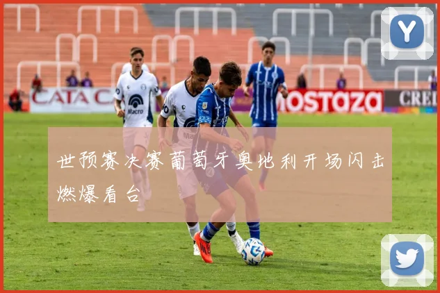世预赛决赛葡萄牙奥地利开场闪击燃爆看台