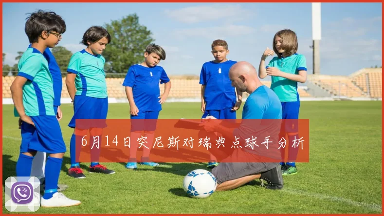 6月14日突尼斯对瑞典点球手分析