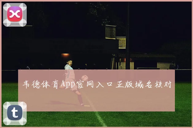 韦德体育App官网入口正版域名核对