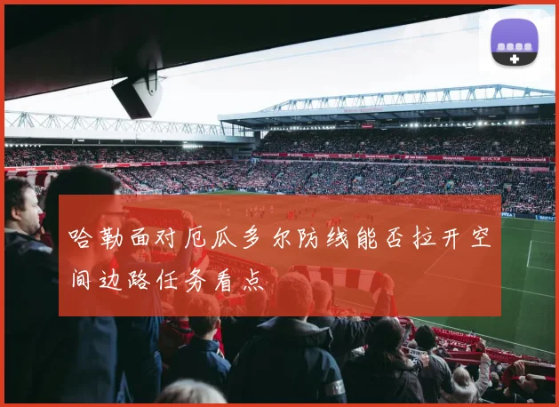 哈勒面对厄瓜多尔防线能否拉开空间边路任务看点