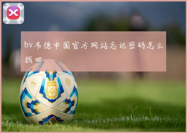 bv韦德中国官方网站忘记密码怎么找回
