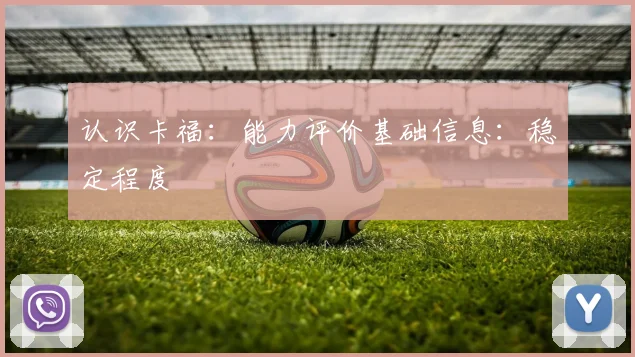 认识卡福：能力评价基础信息：稳定程度