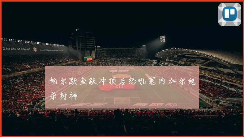 帕尔默鱼跃冲顶后怒吼塞内加尔绝杀封神