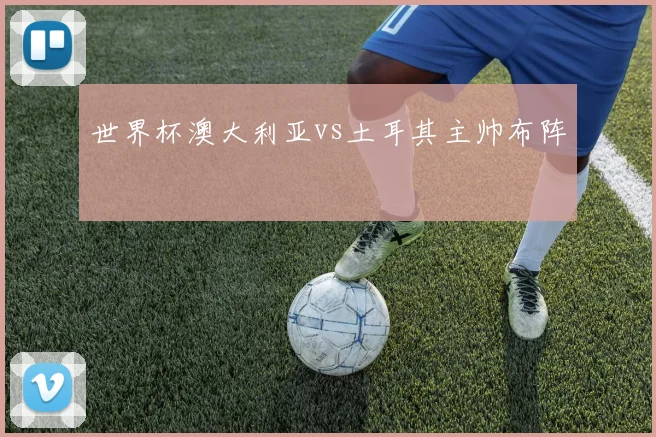 世界杯澳大利亚vs土耳其主帅布阵