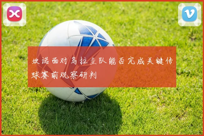 坎诺面对乌拉圭队能否完成关键传球赛前观察研判