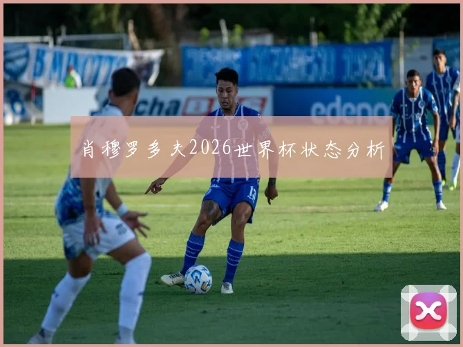 肖穆罗多夫2026世界杯状态分析