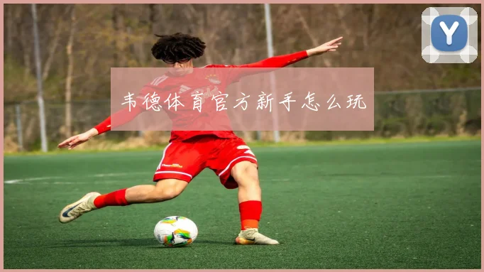 韦德体育官方新手怎么玩